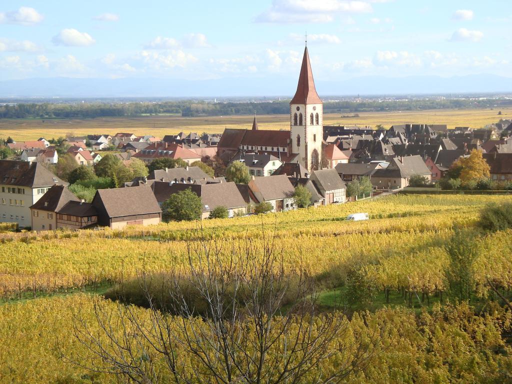 Les Cepages Holiday home Ammerschwihr