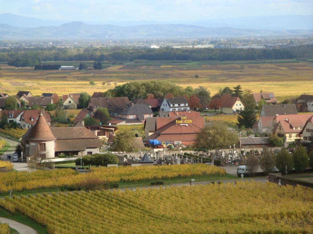 Les Cepages
